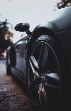 pexels-photo-3007436